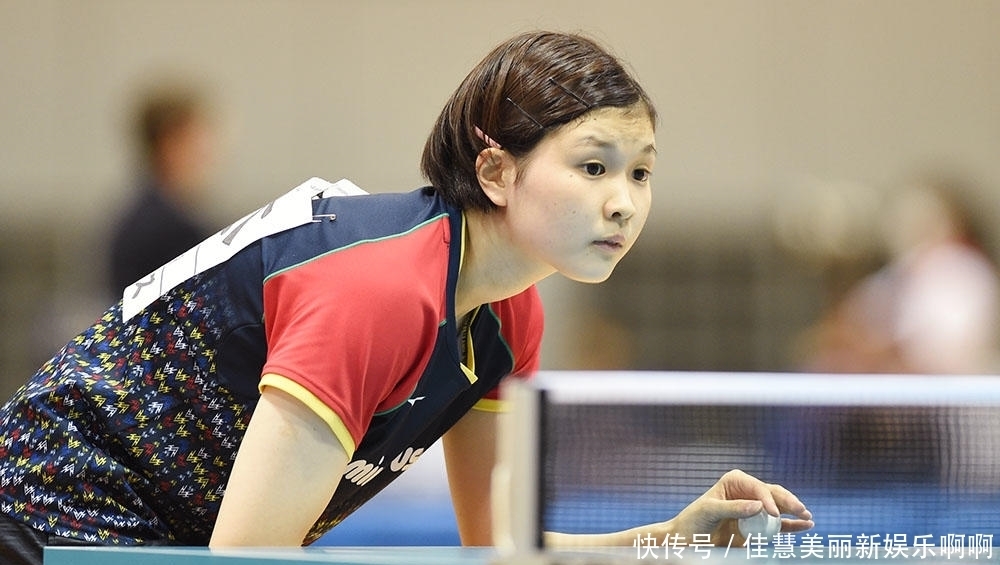 术体系的打 术体系的打