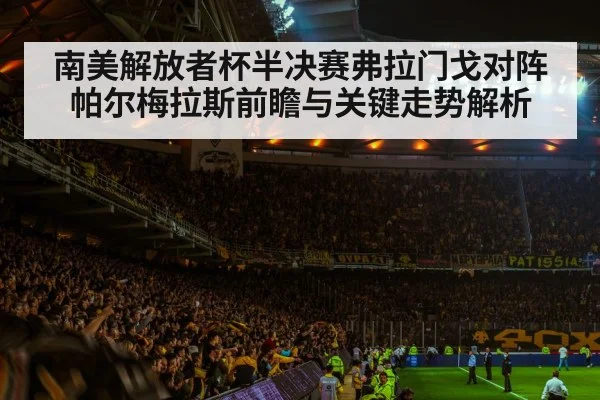 soccer stadium crowd night